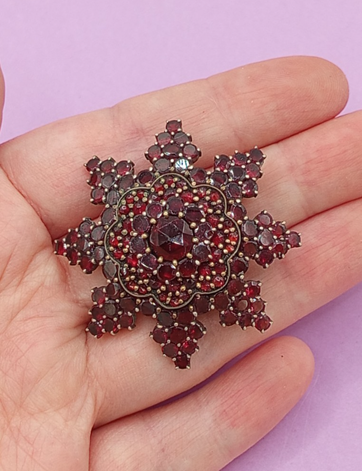 NO TARIFFS Antique Bohemian Garnet Star Brooch Victorian 1.5"